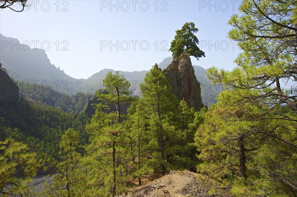 Parque Nacional de la Caldera de Taburiente