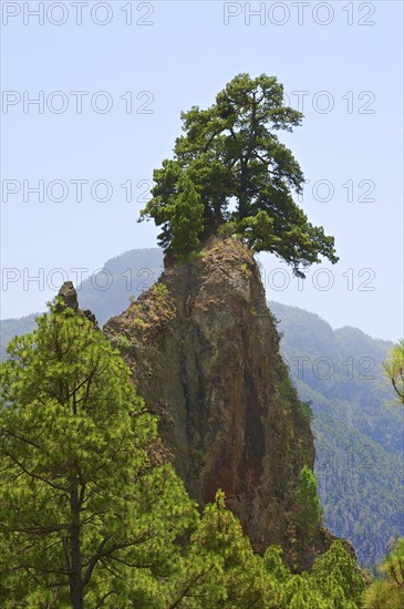 Parque Nacional de la Caldera de Taburiente