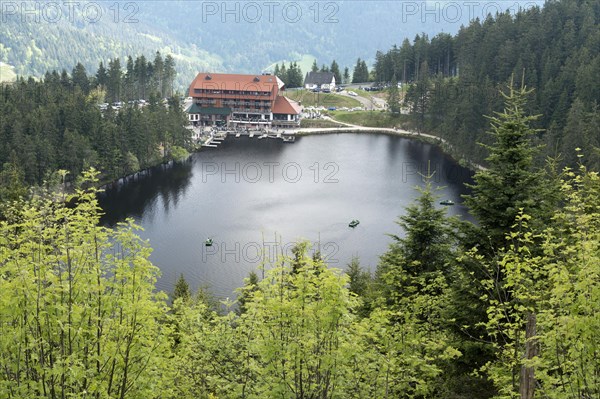 Black Forest National Park