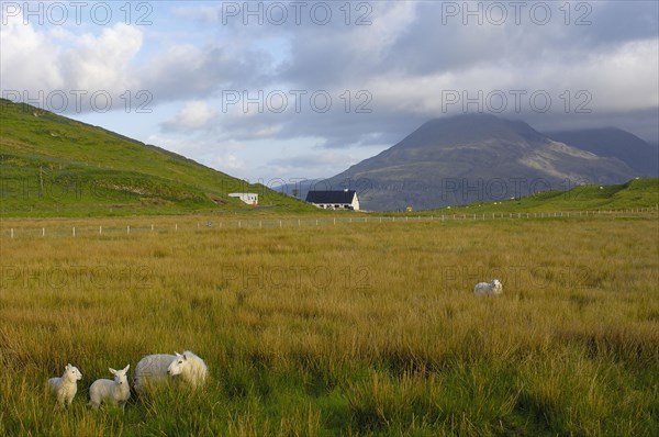 Cuillin Hills