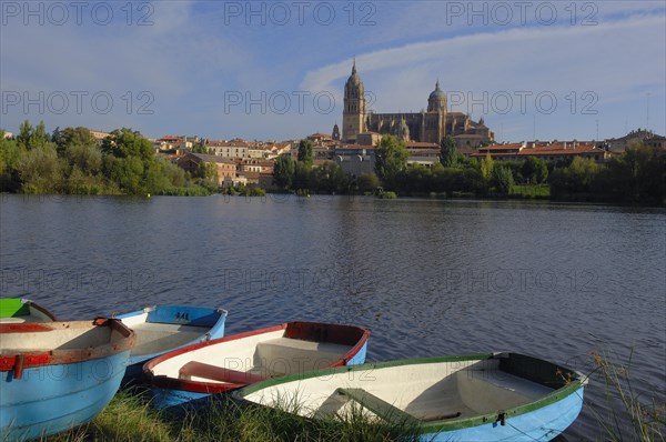 Tormes Cathedral and River