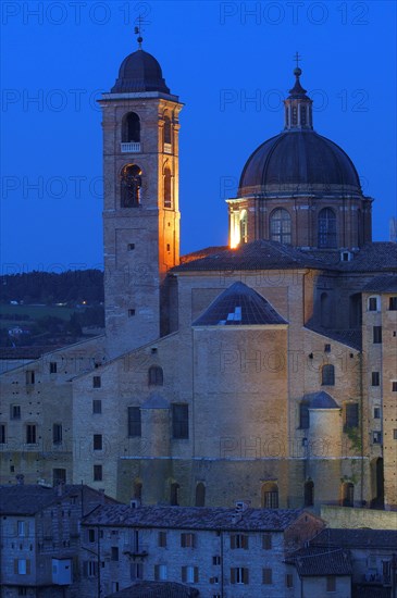 Urbino