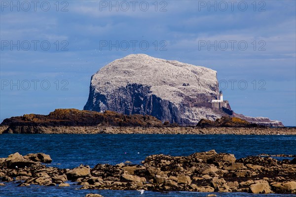 Bird Rock