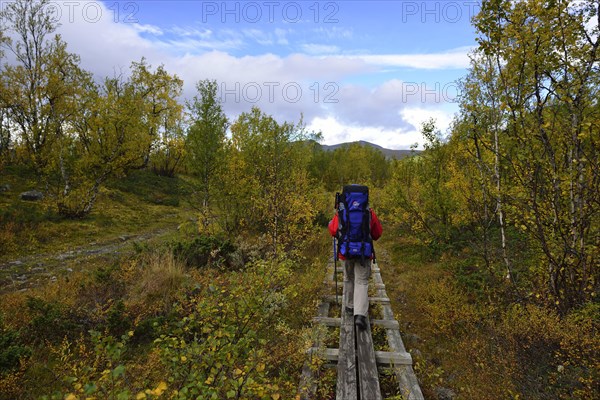 Trekking Nikkaluokta