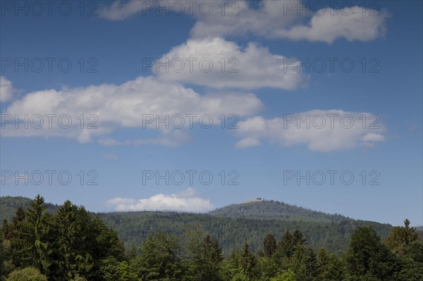 View to the Lusen