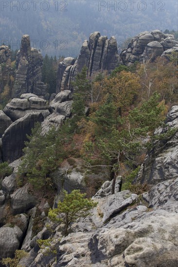 Rocks at the Schrammstein lookout