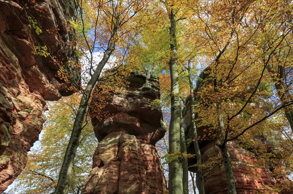 Natural Monument