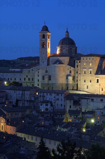 Urbino