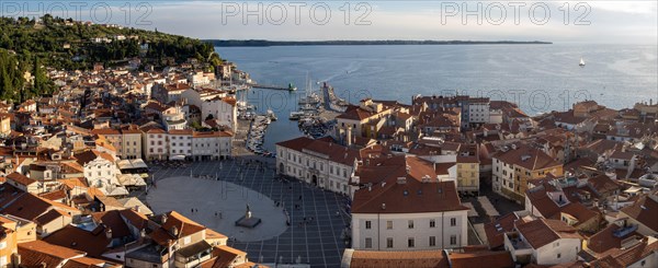 View from the tower of St. George's Cathedral over the harbour