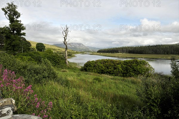 View of Mount Errigal from Gweedore