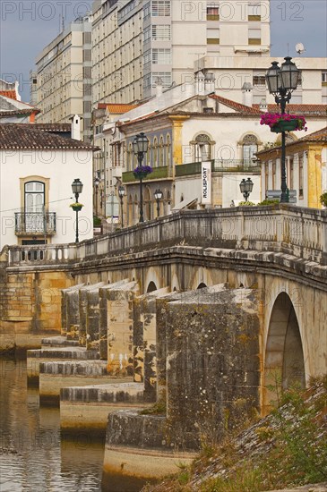 Velha Renaissance Bridge over the Nabao River