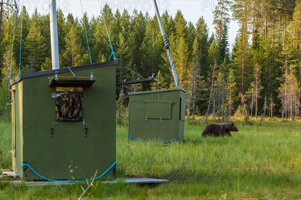 Camouflage tents for photographers