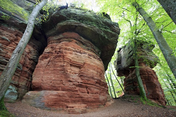 Old Castle Rock Natural Monument