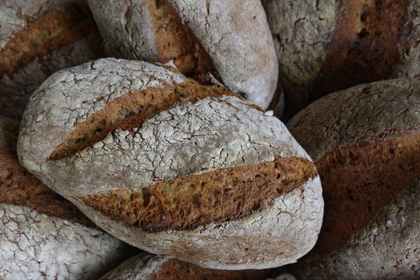 Fresh baked bread from the stone oven