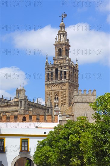 Giralda Tower