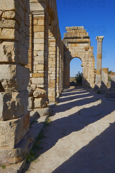 Volubilis