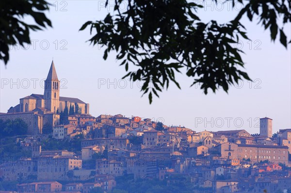 Todi