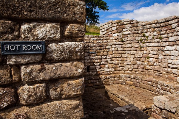 Chester Fort