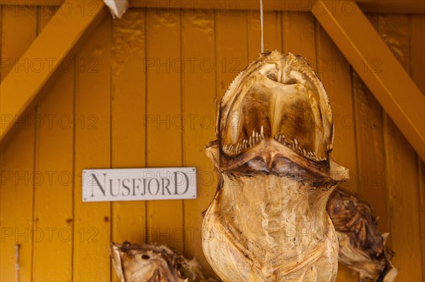 Dried fish