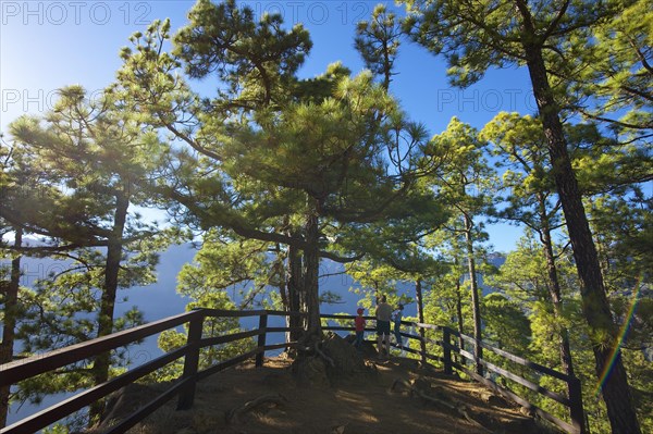 Parque Nacional de la Caldera de Taburiente at Mirador de Las Chozas