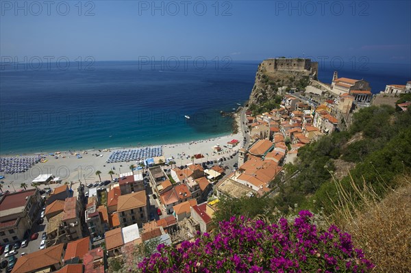 Scilla