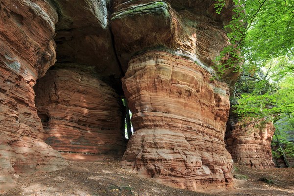 Old Castle Rock Natural Monument