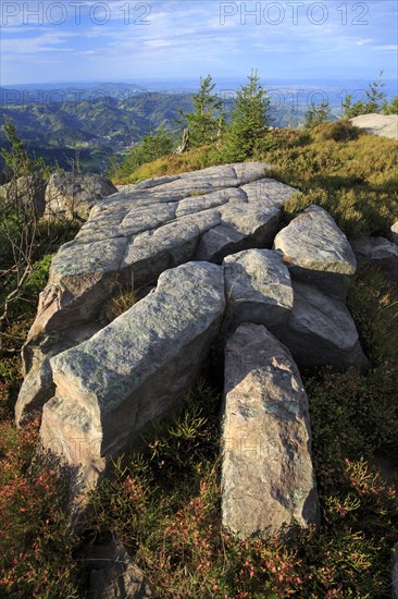 Black Forest National Park