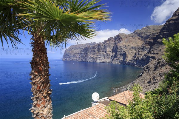 Tenerife