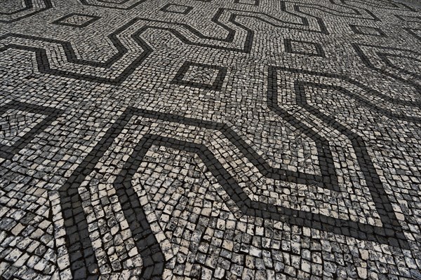 Mosaic in paving stones