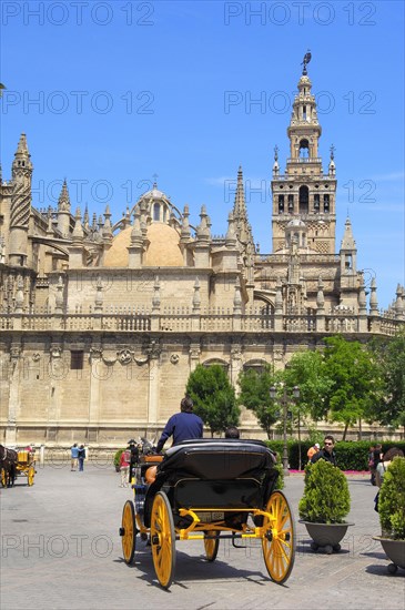 Cathedral and Giralda Tower