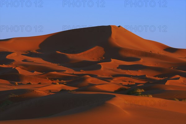 Merzouga