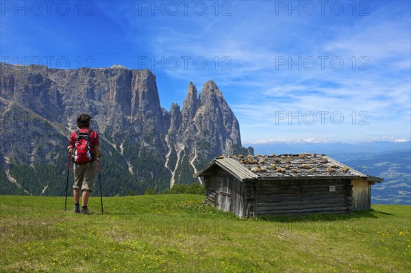 Alpine pasture on the Alpe di Siusi with Sciliar