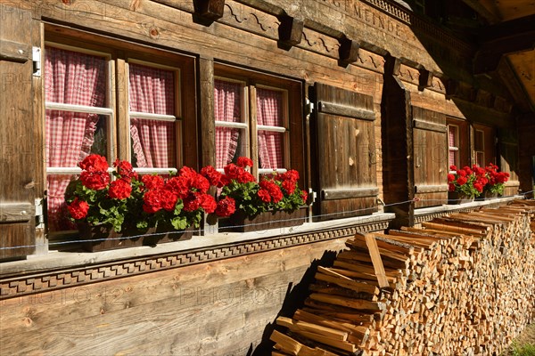 Alpine hut