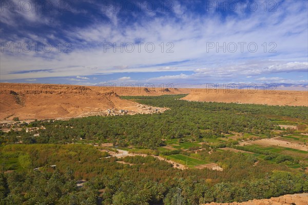 Tafilalet Oasis