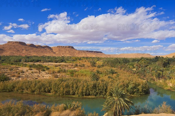 Tafilalet Oasis