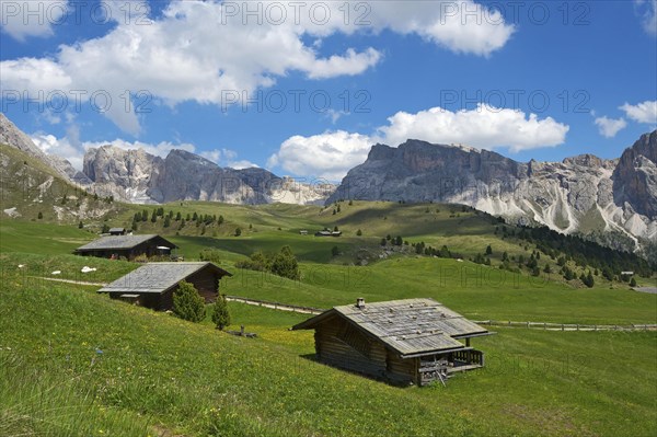 Alpine pasture on the Seceda