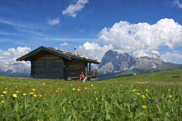 Alpine huts on the Alpe di Siusi with Sassolungo and Sassolungo