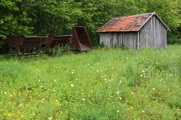 Pfrunger-Burgweiler Ried