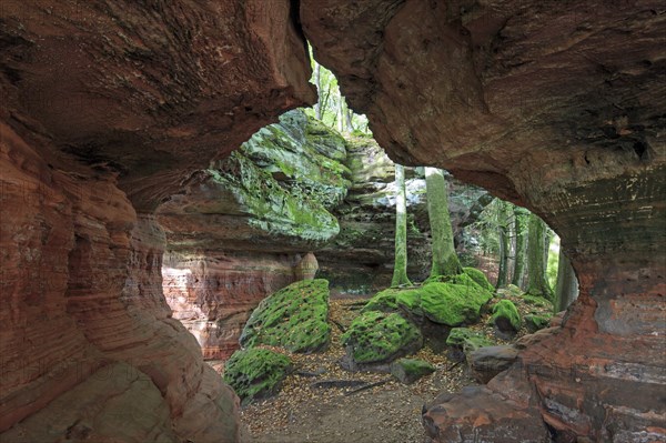 Old Castle Rock Natural Monument