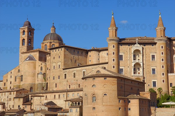 Urbino