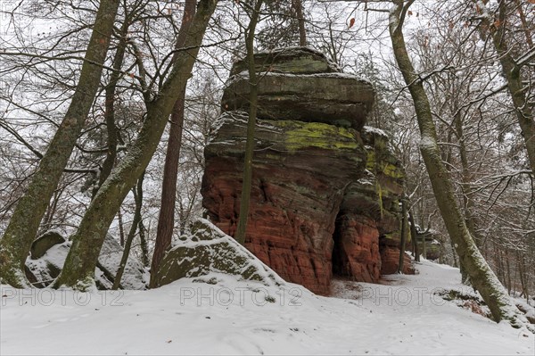 Natural Monument