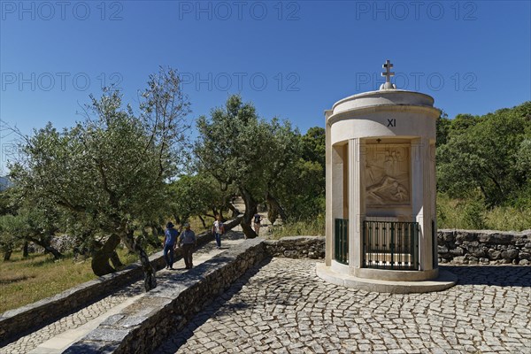 Way of the Cross