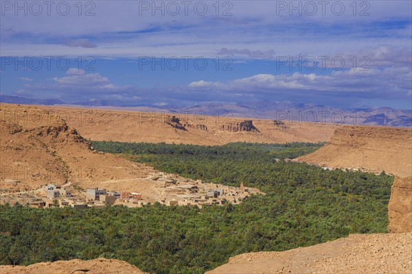 Tafilalet Oasis