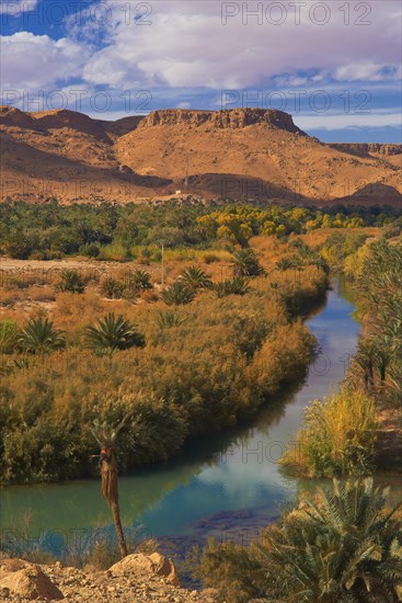 Tafilalet Oasis