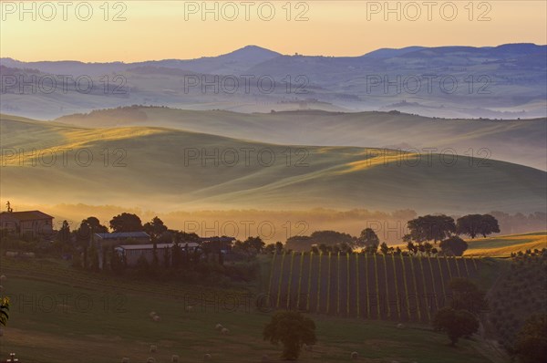 Val d'Orcia. Orcia valley at dawn. Morning mist. UNESCO World Heritage Site. San Quirico d'Orcia. Province of Siena. Tuscany. Landscape in Tuscany. Italy