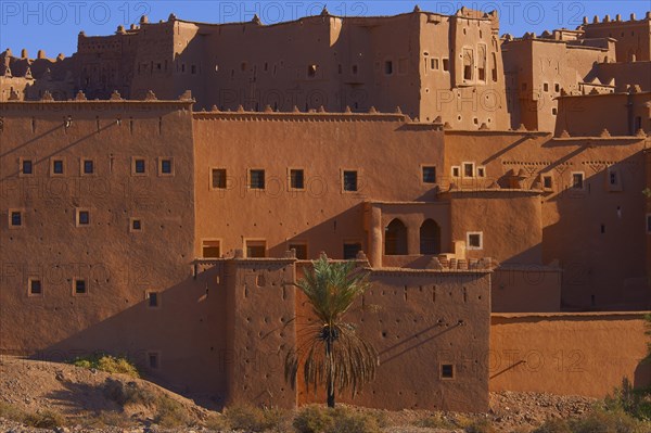 Taourirt Kasbah