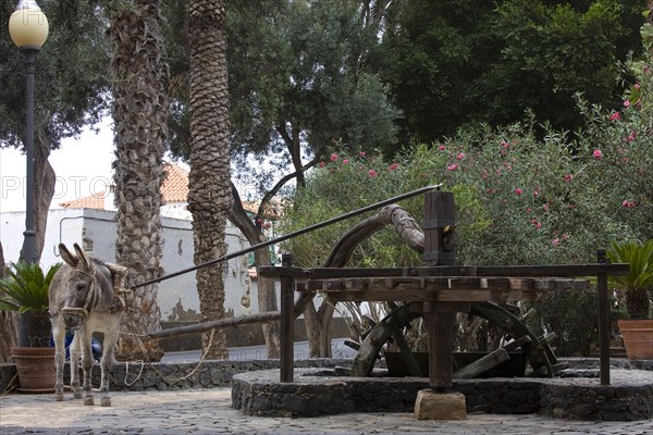 Donkey driving watermill