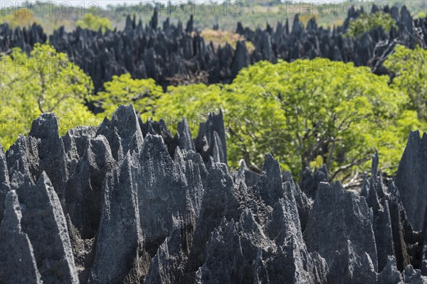 Karst landscape