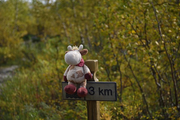 Trekking Nikkaluokta