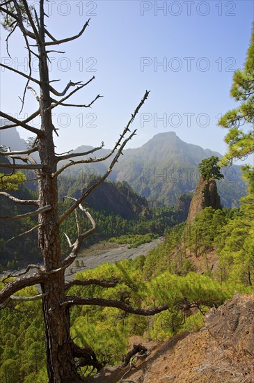 Parque Nacional de la Caldera de Taburiente